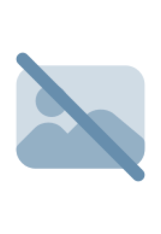 Verificare istoric cu Car Vertical